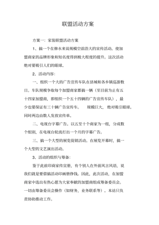 联盟活动方案
