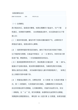 肉鸽的孵化技术