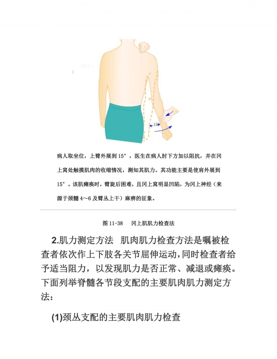肌力检查方法_第2页