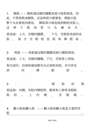肌肉起止点含理解说明