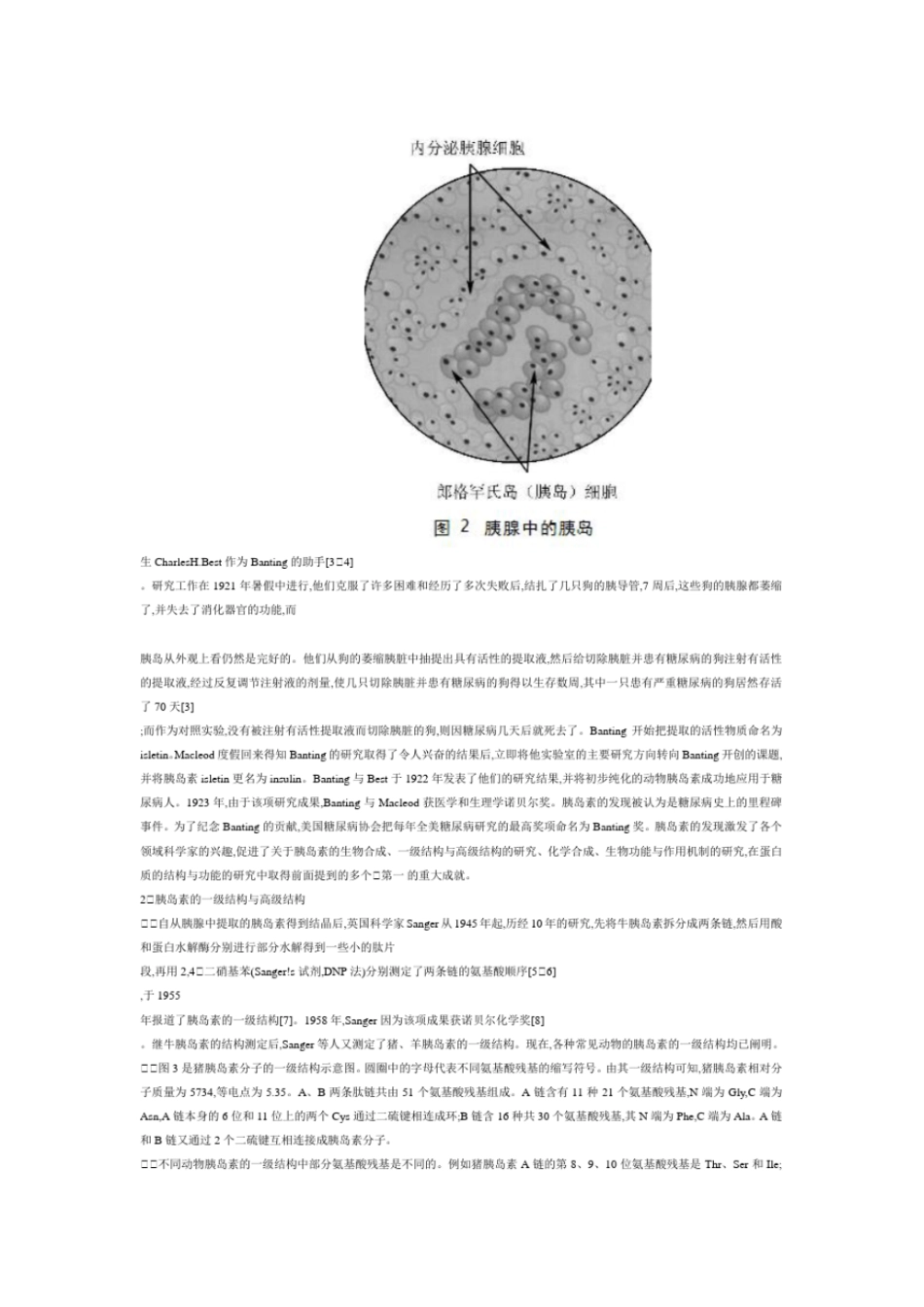 胰岛素结构和性质_第2页