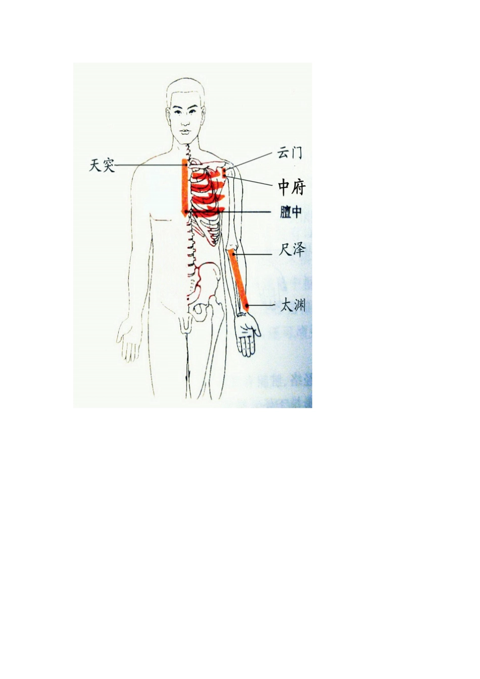 胸部刮法六步_第1页