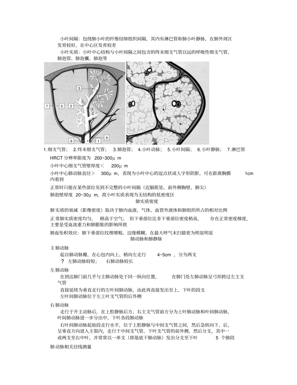 胸部影像解剖CT文本_第3页