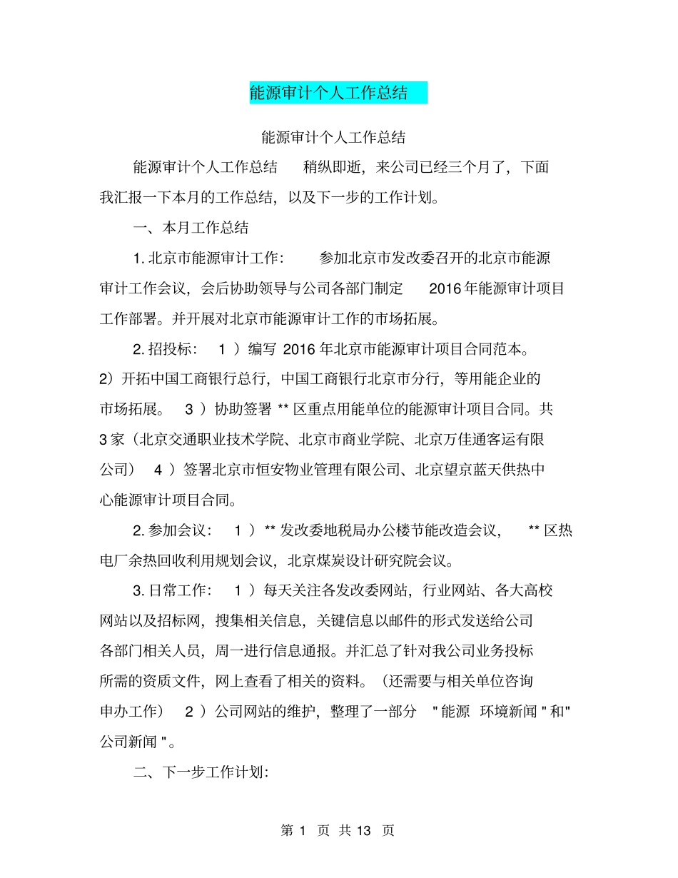能源审计个人工作总结【可编辑版】_第1页