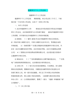能源审计个人工作总结【可编辑版】