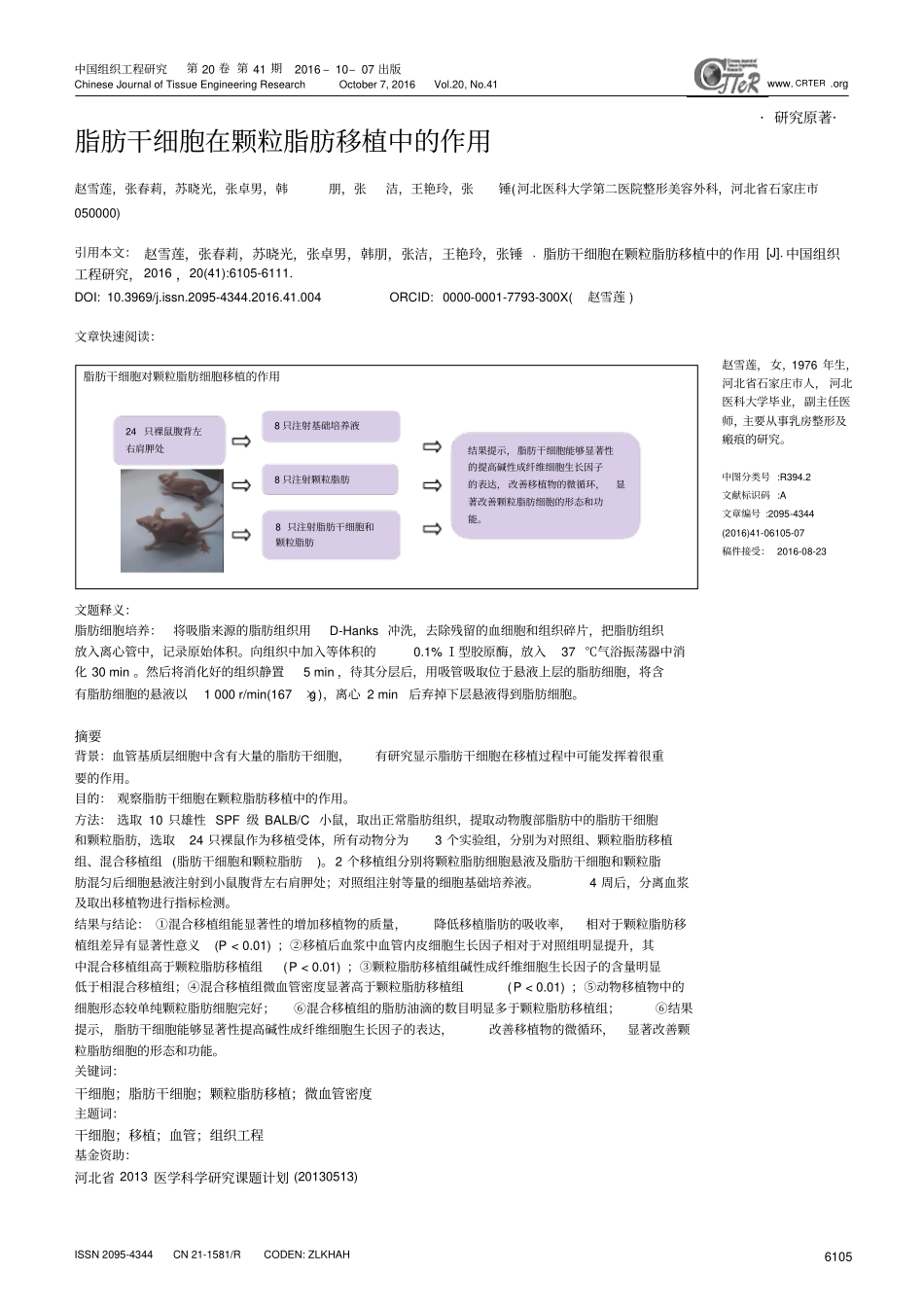 脂肪干细胞在颗粒脂肪移植中的作用汇总_第1页