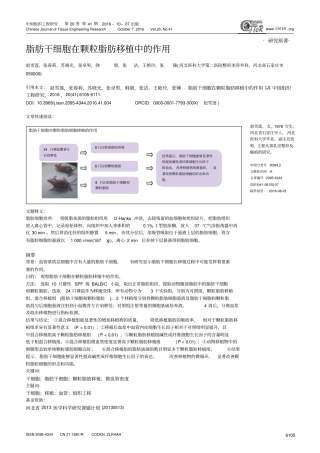 脂肪干细胞在颗粒脂肪移植中的作用汇总