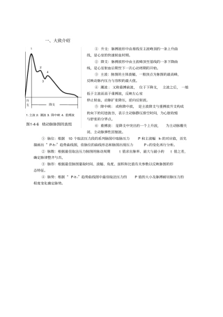 脉象参数解释