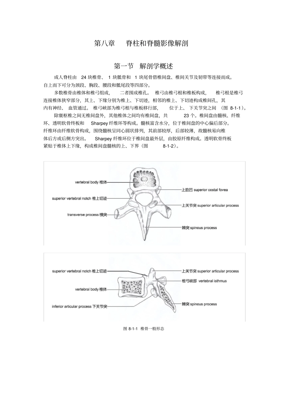 脊柱和脊髓影像解剖_第1页