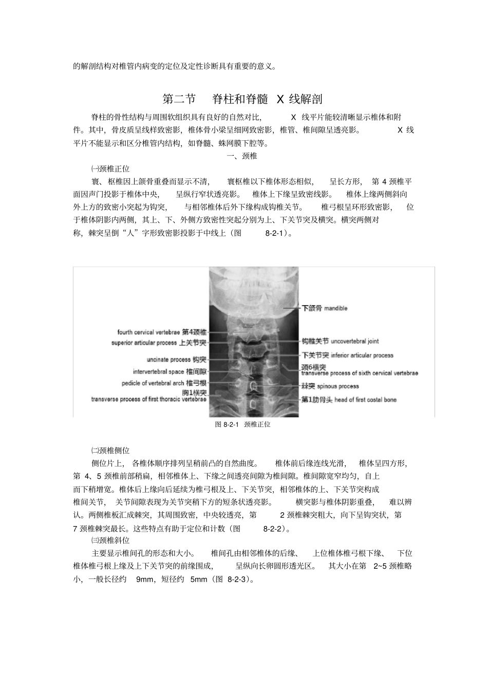 脊柱和脊髓影像解剖_第3页