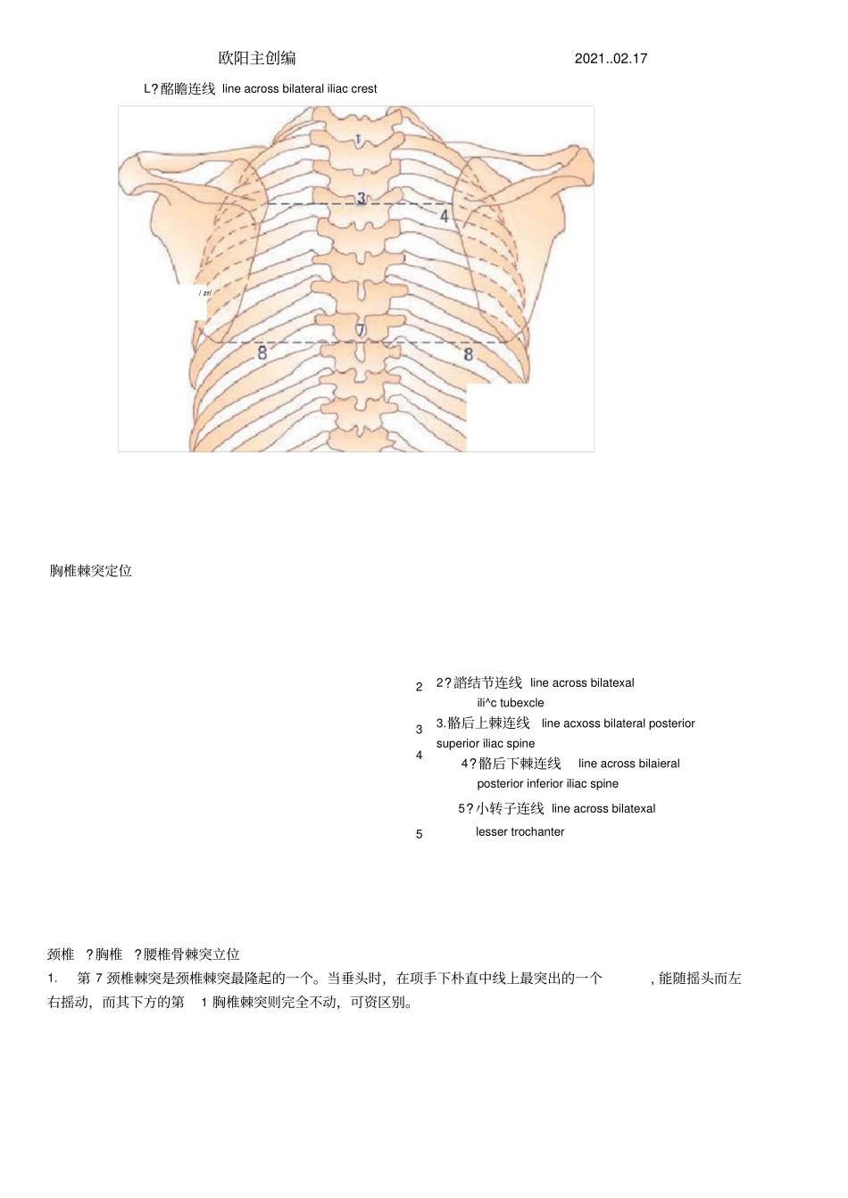 脊柱的棘突与椎体的定位之欧阳主创编_第2页