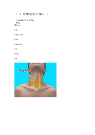 脊椎病因治疗学浅论