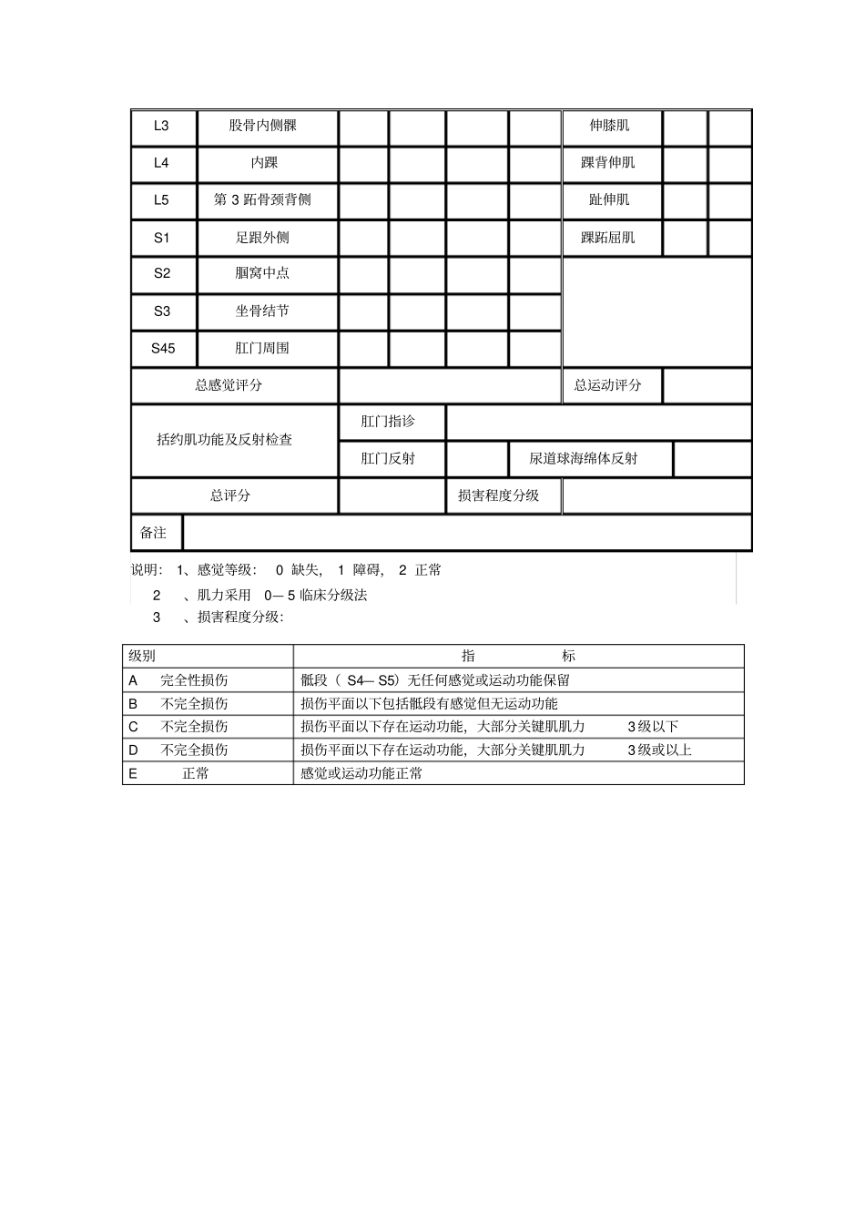 脊髓损伤水平评分ASIA美国脊髓损伤协会_第2页