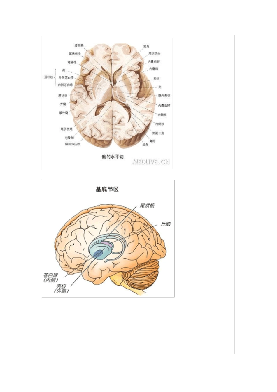 脑出血部位辨识汇总_第2页