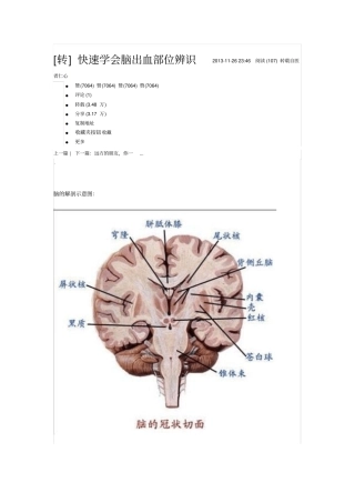 脑出血部位辨识汇总