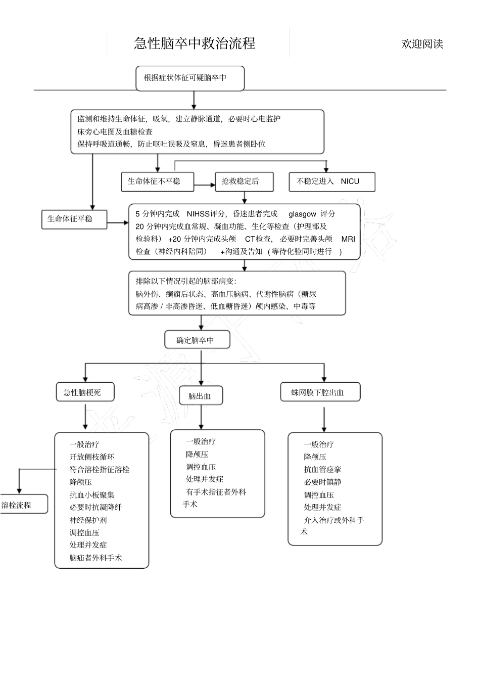 脑卒中抢救流程_第1页