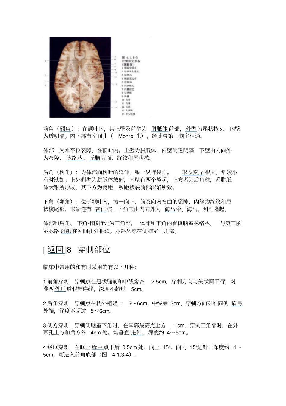 脑室穿刺引流术_第2页