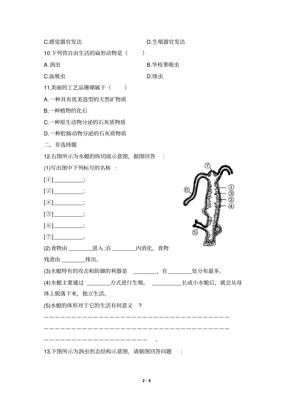 腔肠动物和扁形动物同步练习1汇总_第2页