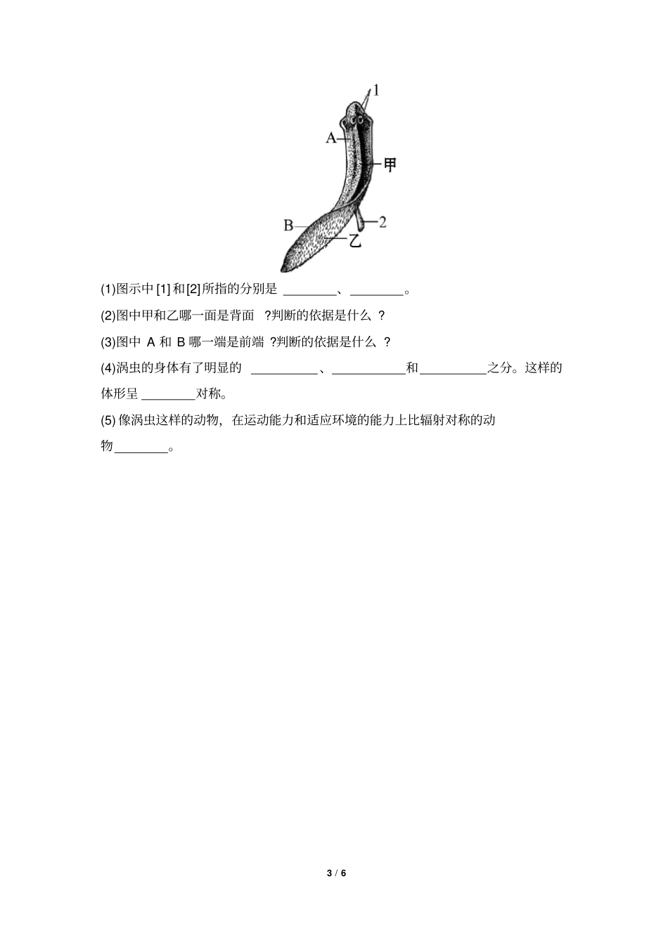 腔肠动物和扁形动物同步练习1汇总_第3页