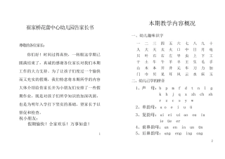 幼小衔接花蕾中心幼儿园大班寒假作业练习题