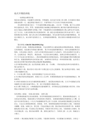 幼犬早期的训练