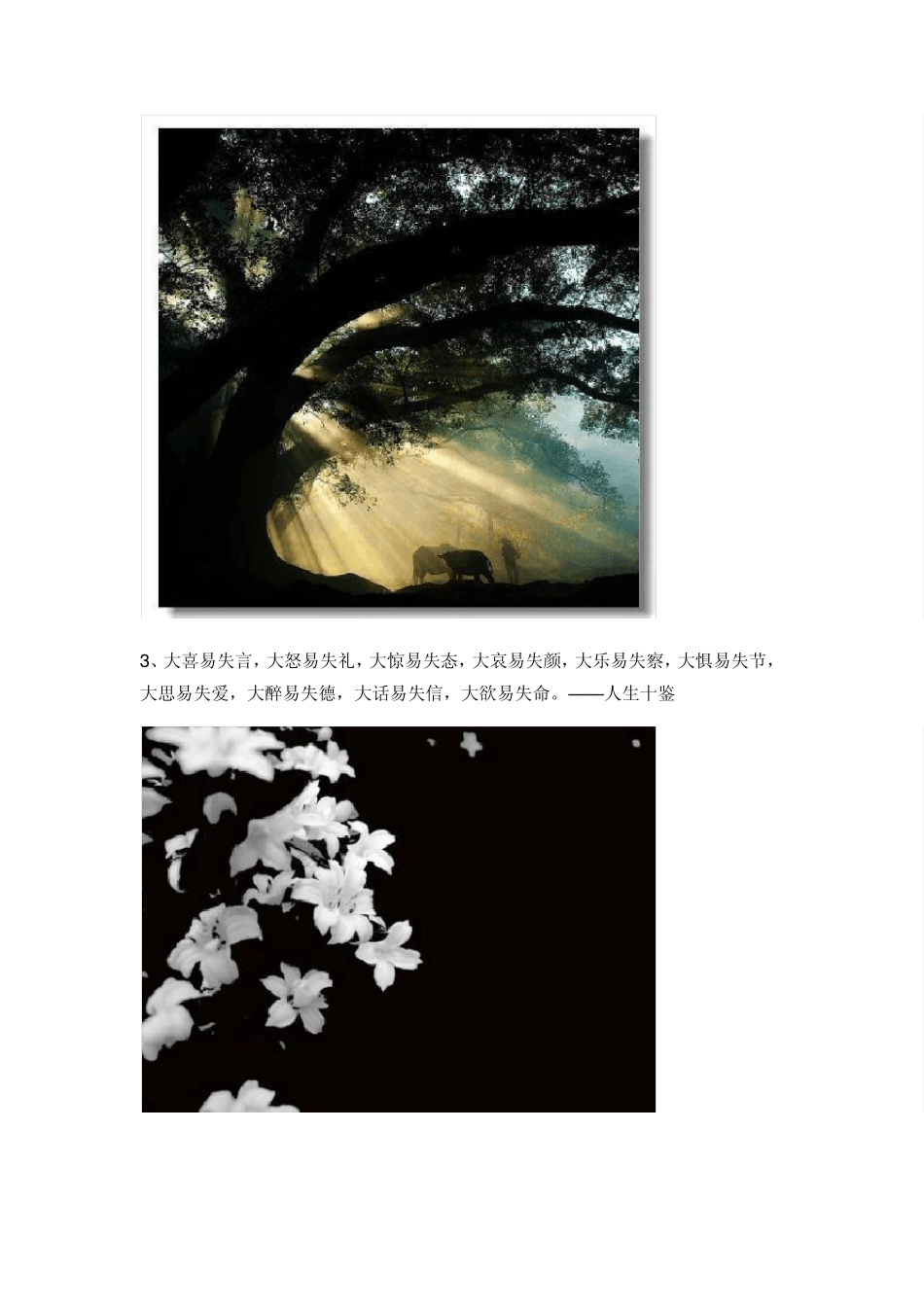 幽冥路,忘川河,奈何桥前叹奈何_第2页