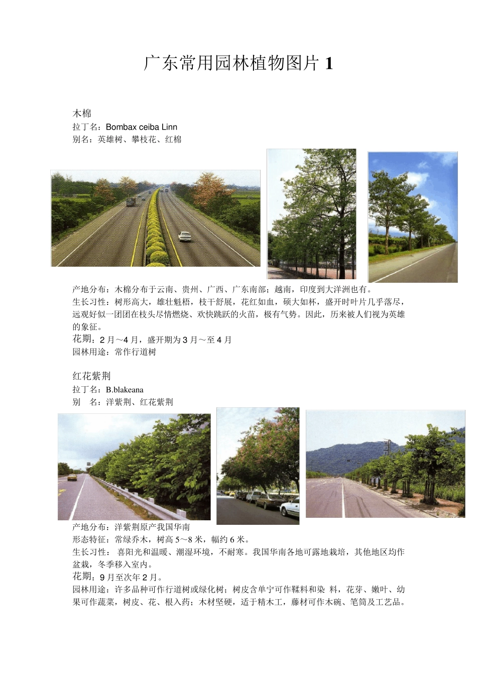 广东常用园林植物图片1_第1页