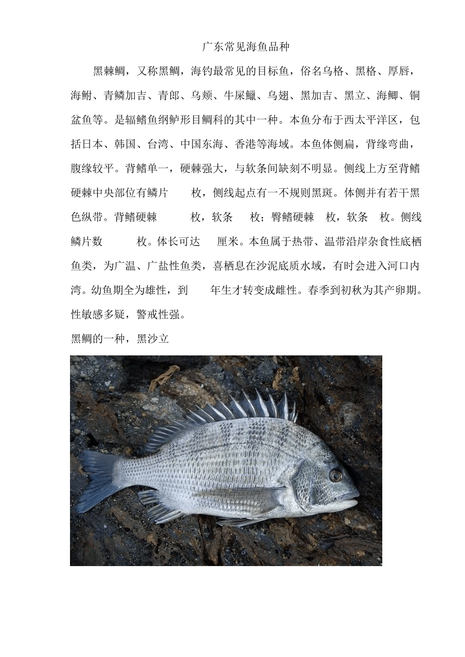 广东常见海鱼品种_第1页