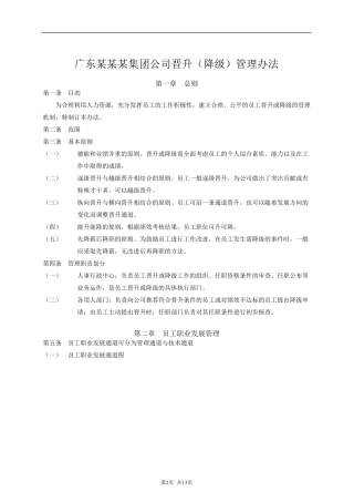 广东某某某集团公司晋升(降级)管理办法