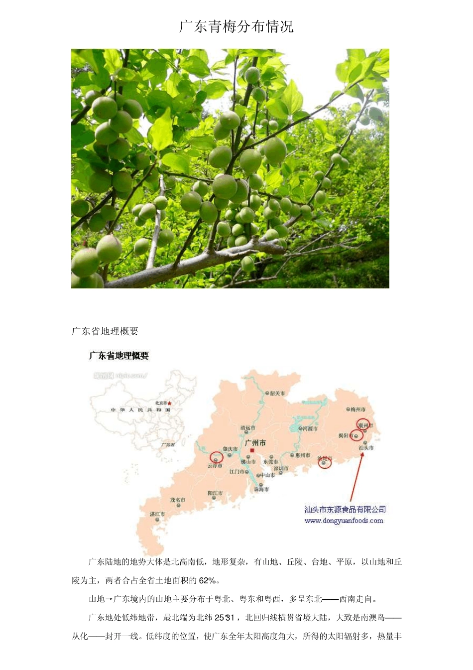 广东青梅分布情况_第1页