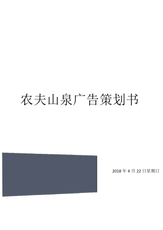 广告策划案例分析