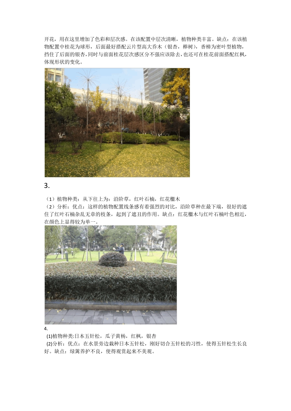 广场植物造景及景观小品实例分析_第2页