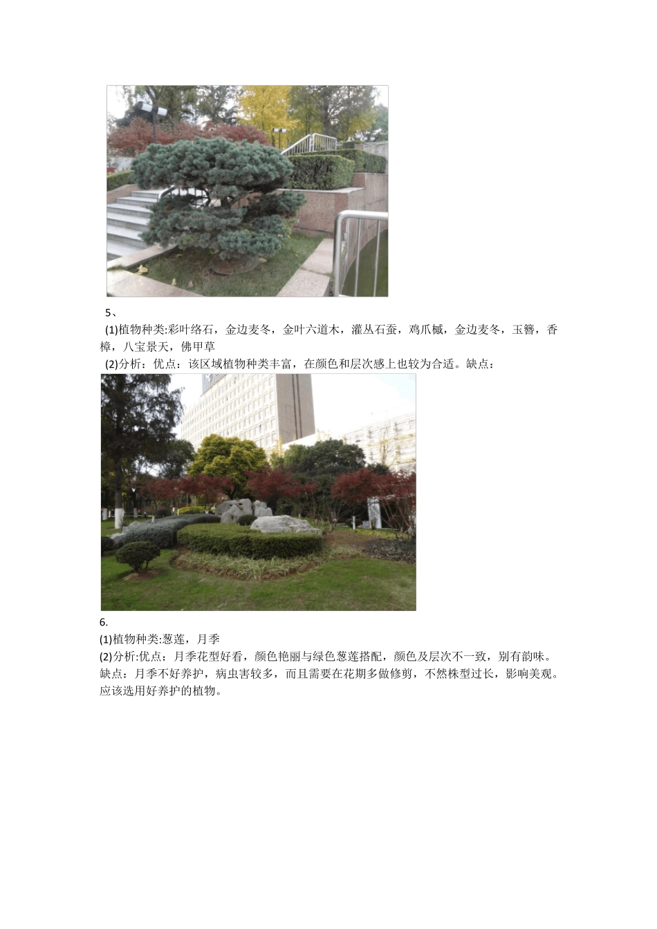 广场植物造景及景观小品实例分析_第3页