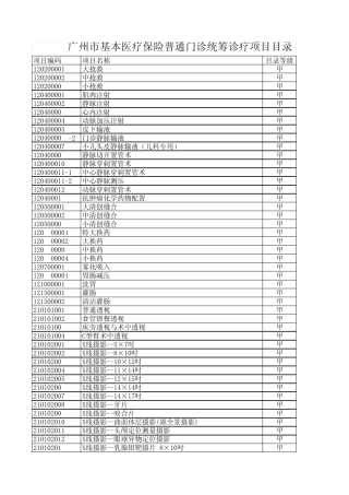广州市基本医疗保险普通门诊统筹诊疗项目目录