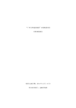 广州集团应收账款项目尽调报告