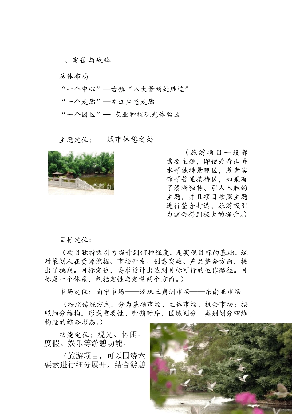 广西扬美古镇的项目设计与营销策划_第3页