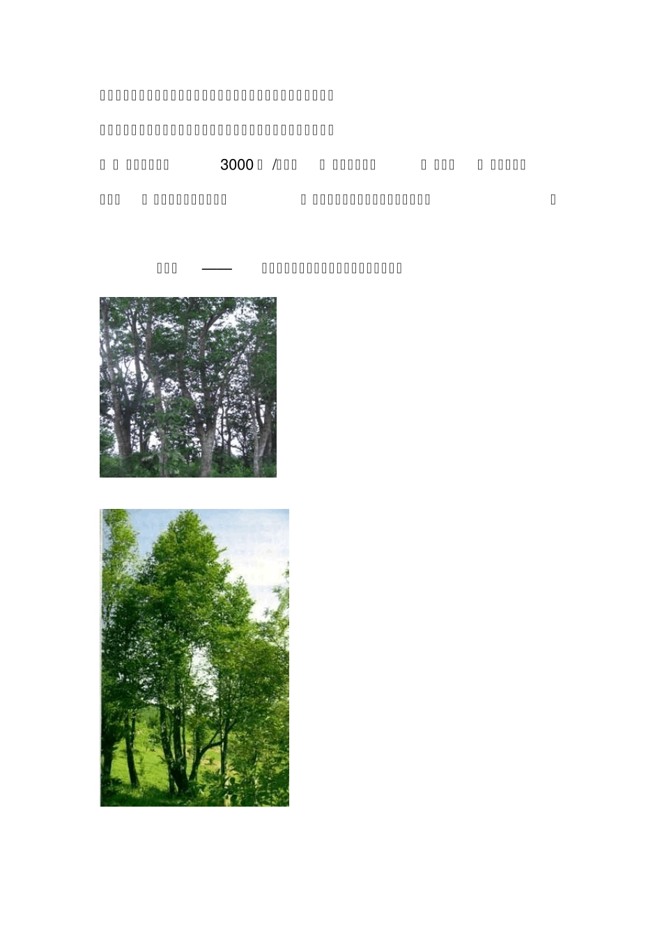 广西珍贵树种_第2页