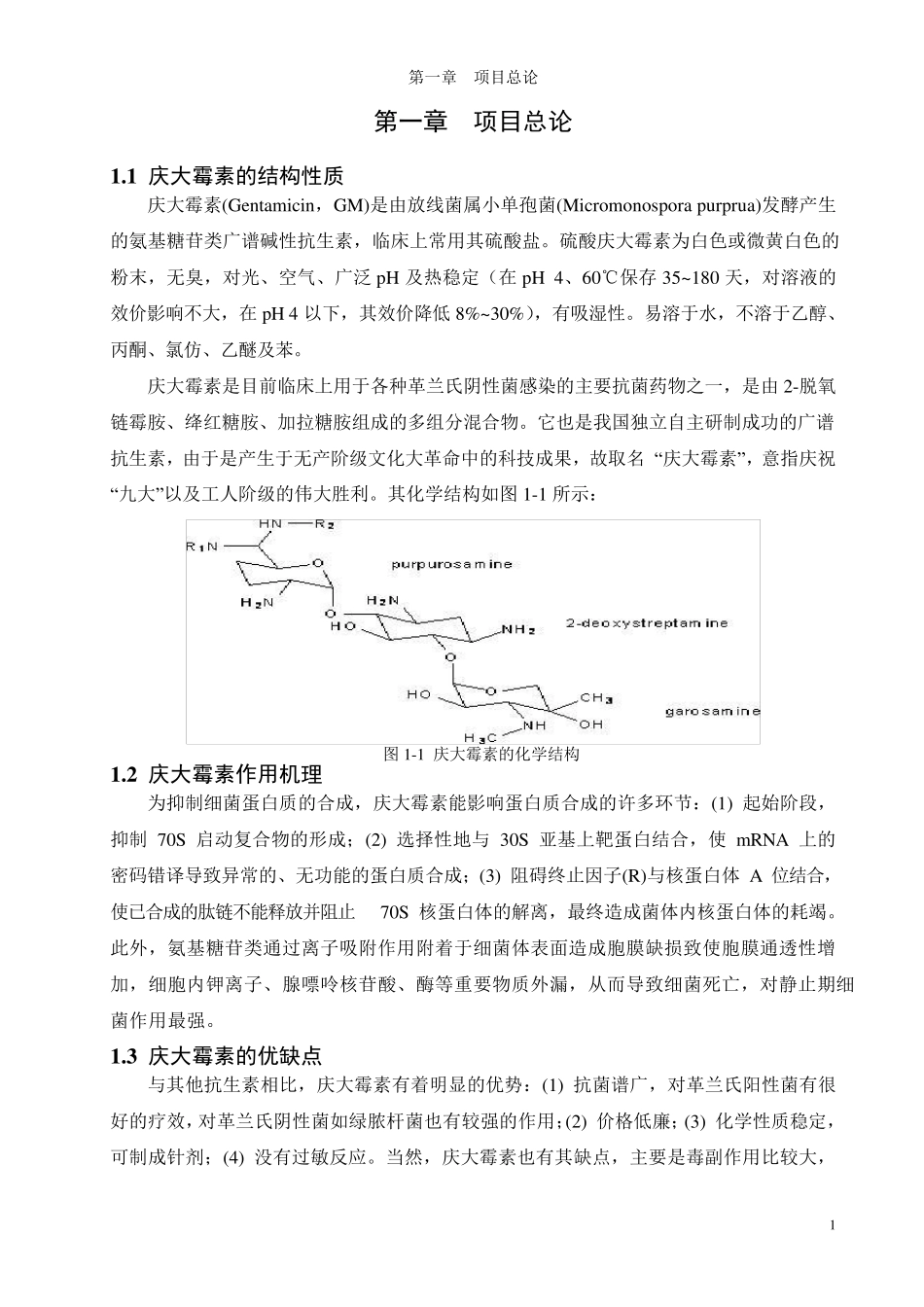 庆大霉素药物制备工艺设计_第2页