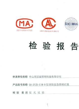 应急照明灯检验报告
