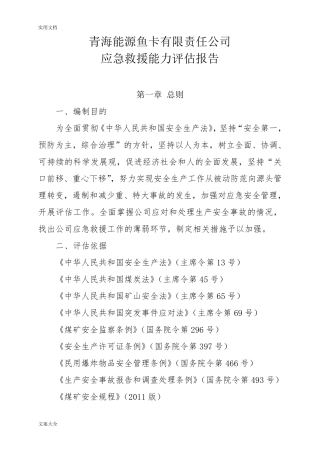 应急能力评估报告材料