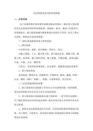 应急预案及抗风险管理措施