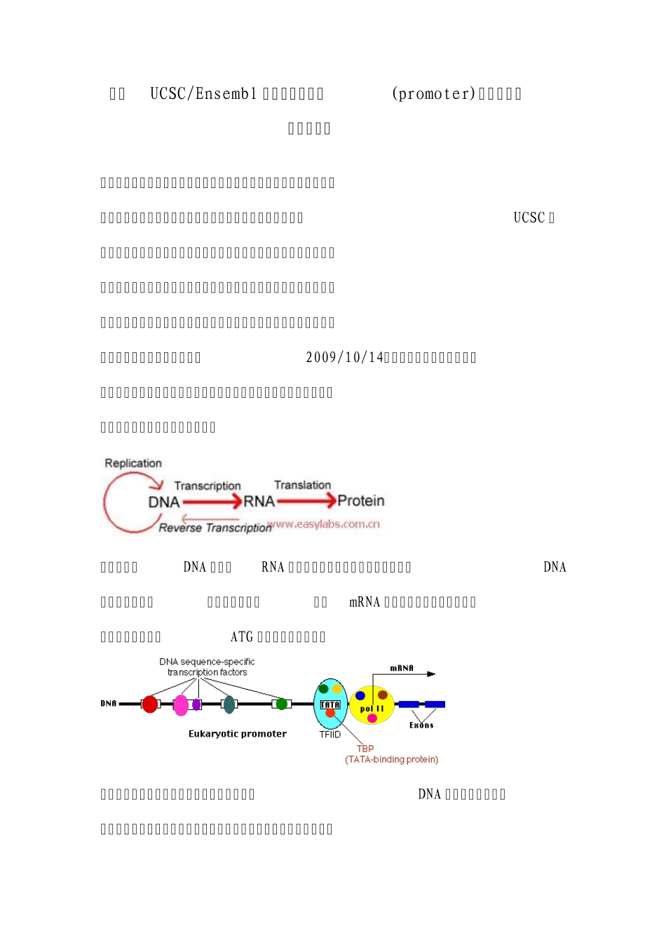 应用UCSCEnsembl查找基因启动子(promoter)内含子外显子序列_第1页