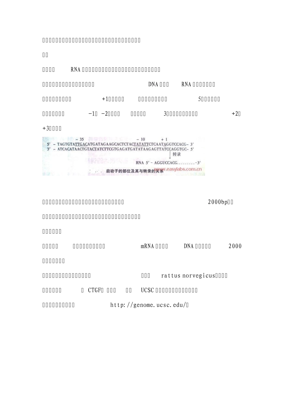应用UCSCEnsembl查找基因启动子(promoter)内含子外显子序列_第2页