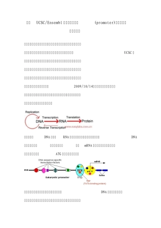 应用UCSCEnsembl查找基因启动子(promoter)内含子外显子序列