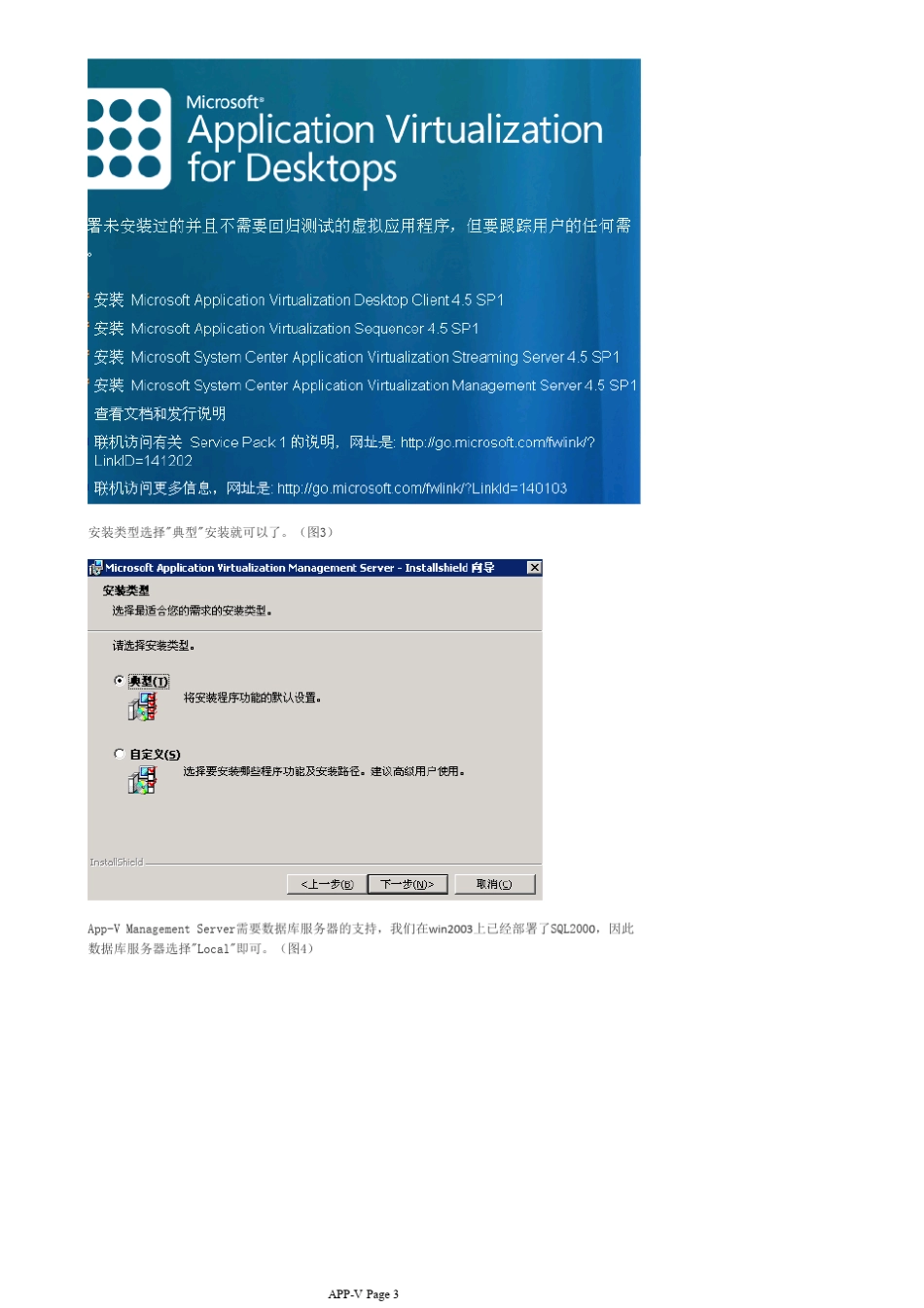 应用程序虚拟化(ApplicationVirtualization)_第3页
