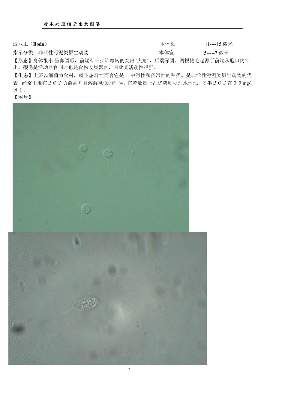 废水处理指示生物图谱_第2页