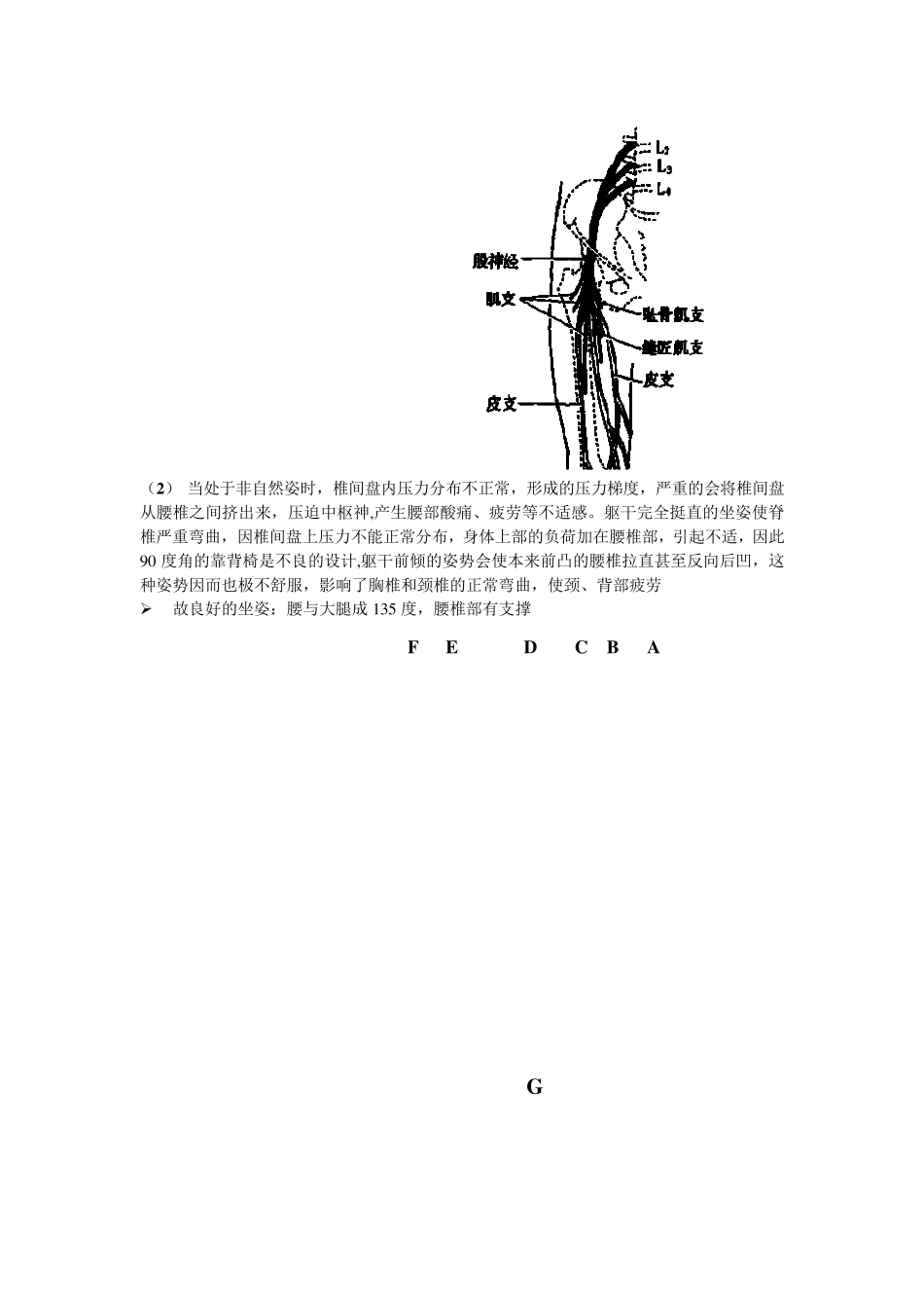 座椅人机工程学_第2页