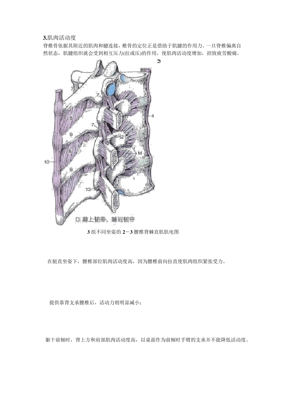座椅人机工程学_第3页
