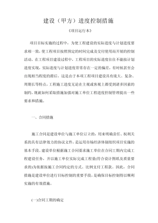 建设(甲方)进度控制措施《项目运行本》