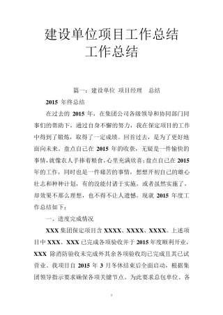 建设单位项目工作总结工作总结